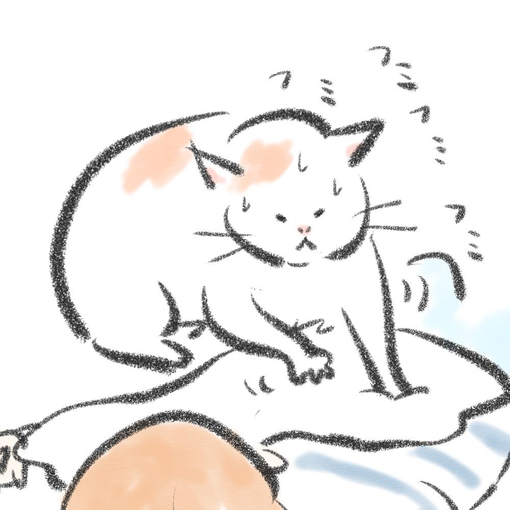 かわさきです。