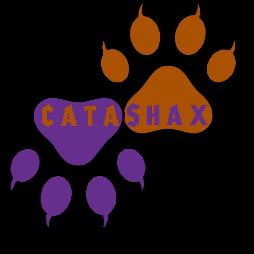 Catashax 🐉 VTuber