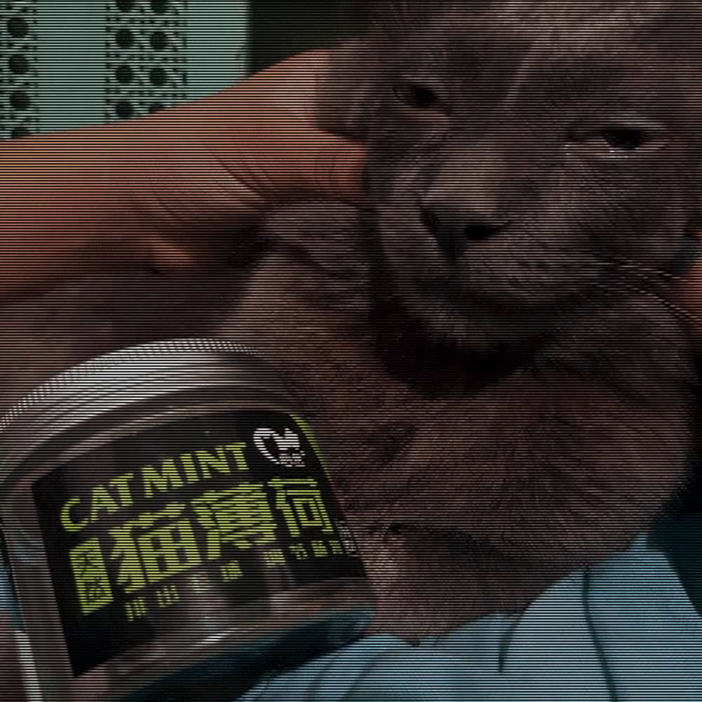 Lisya Myata