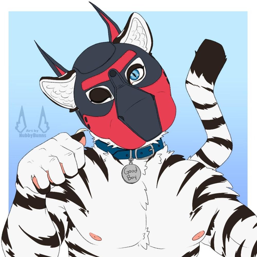 Survivor Tiger's avatar