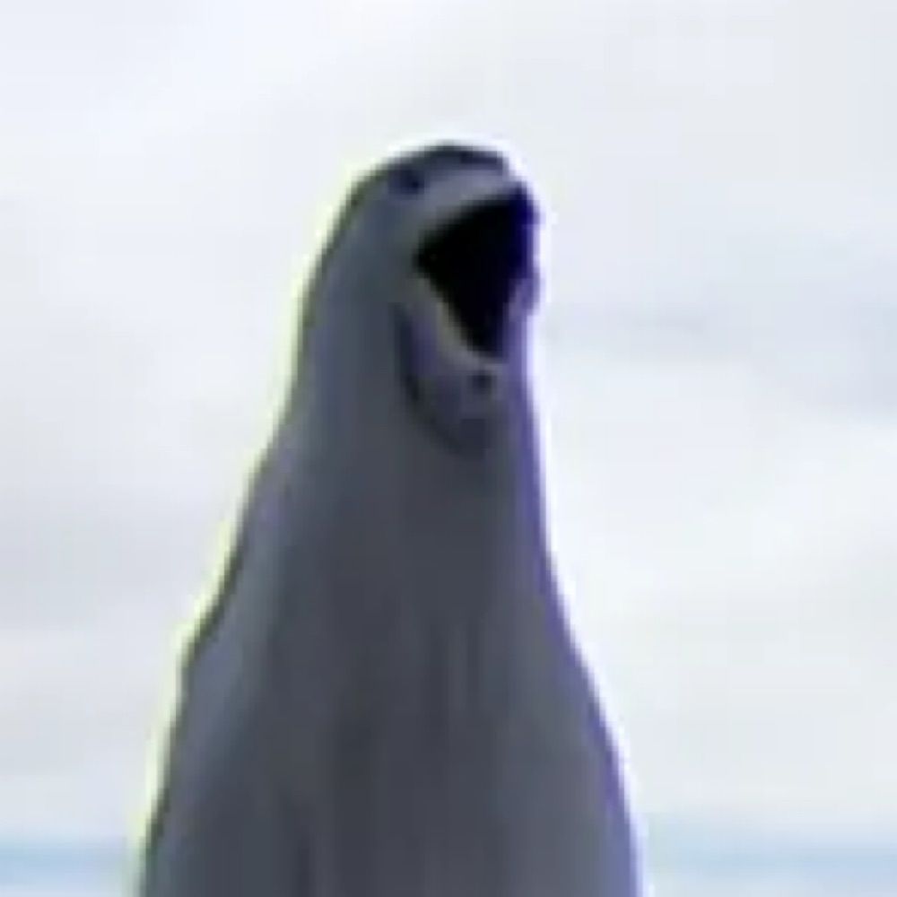 :0