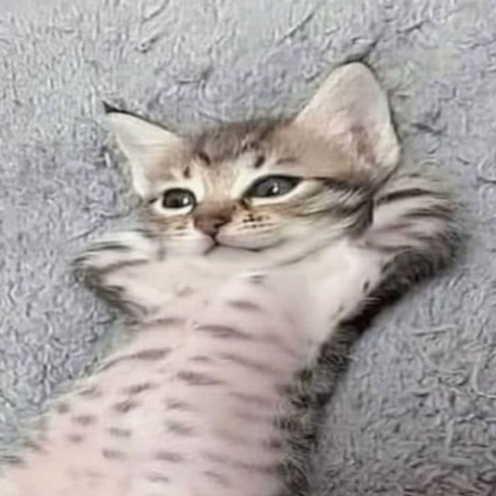 Nyaw
