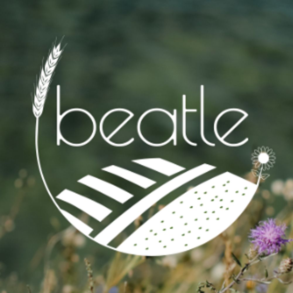 BEATLE