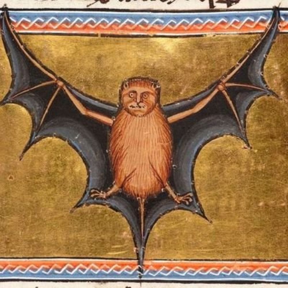 Simongallrigg 