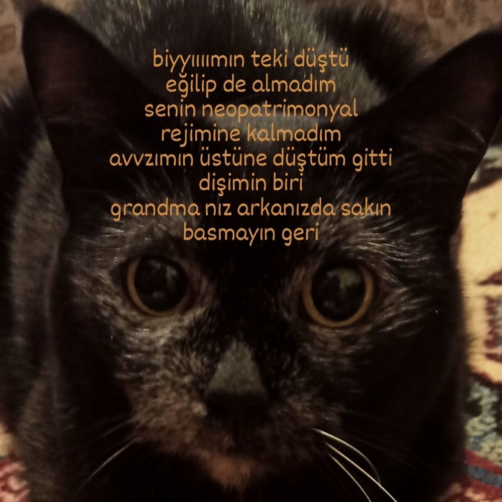 Rudiger Titrektaşzade