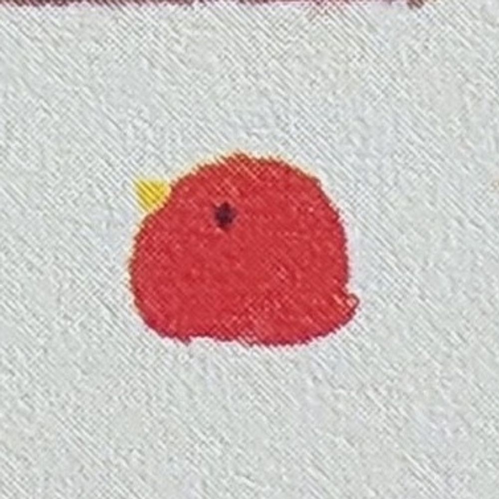 단비