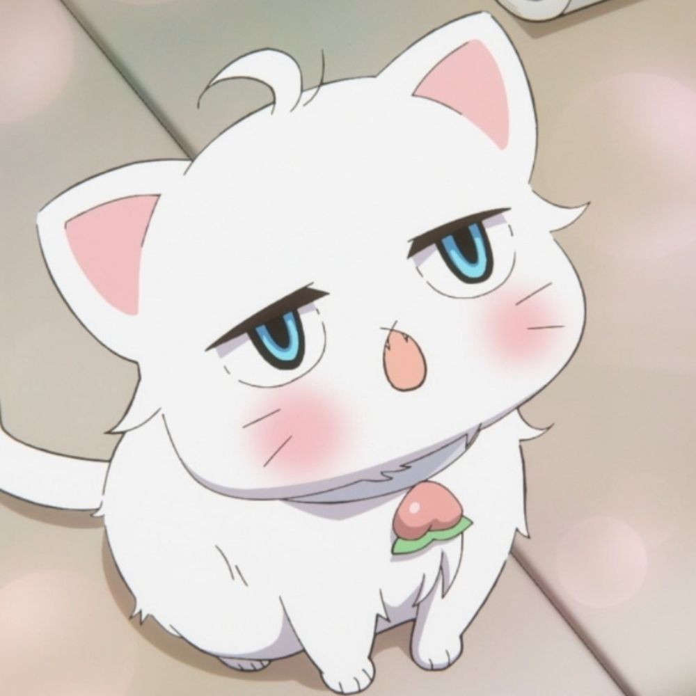 monmon🐱