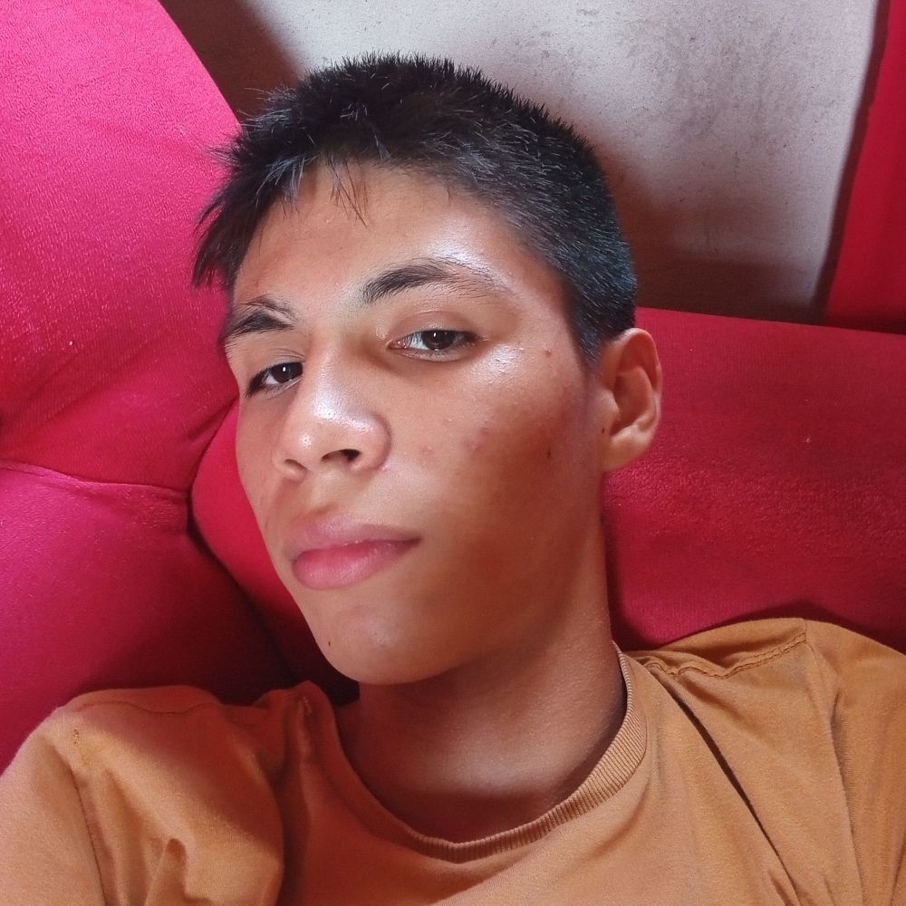 Mateus Martins Pereira 