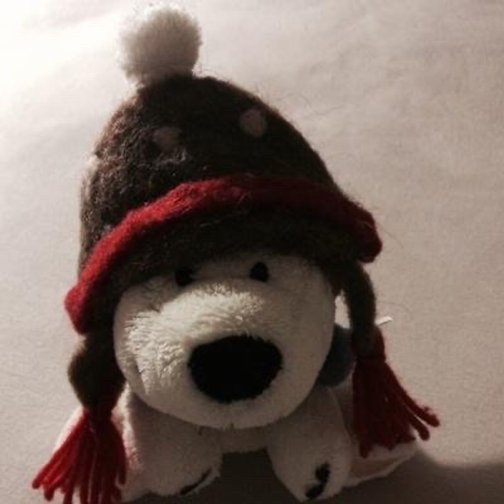 Lisa Polarbear 