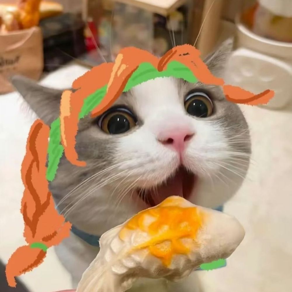 H9G Tazko 