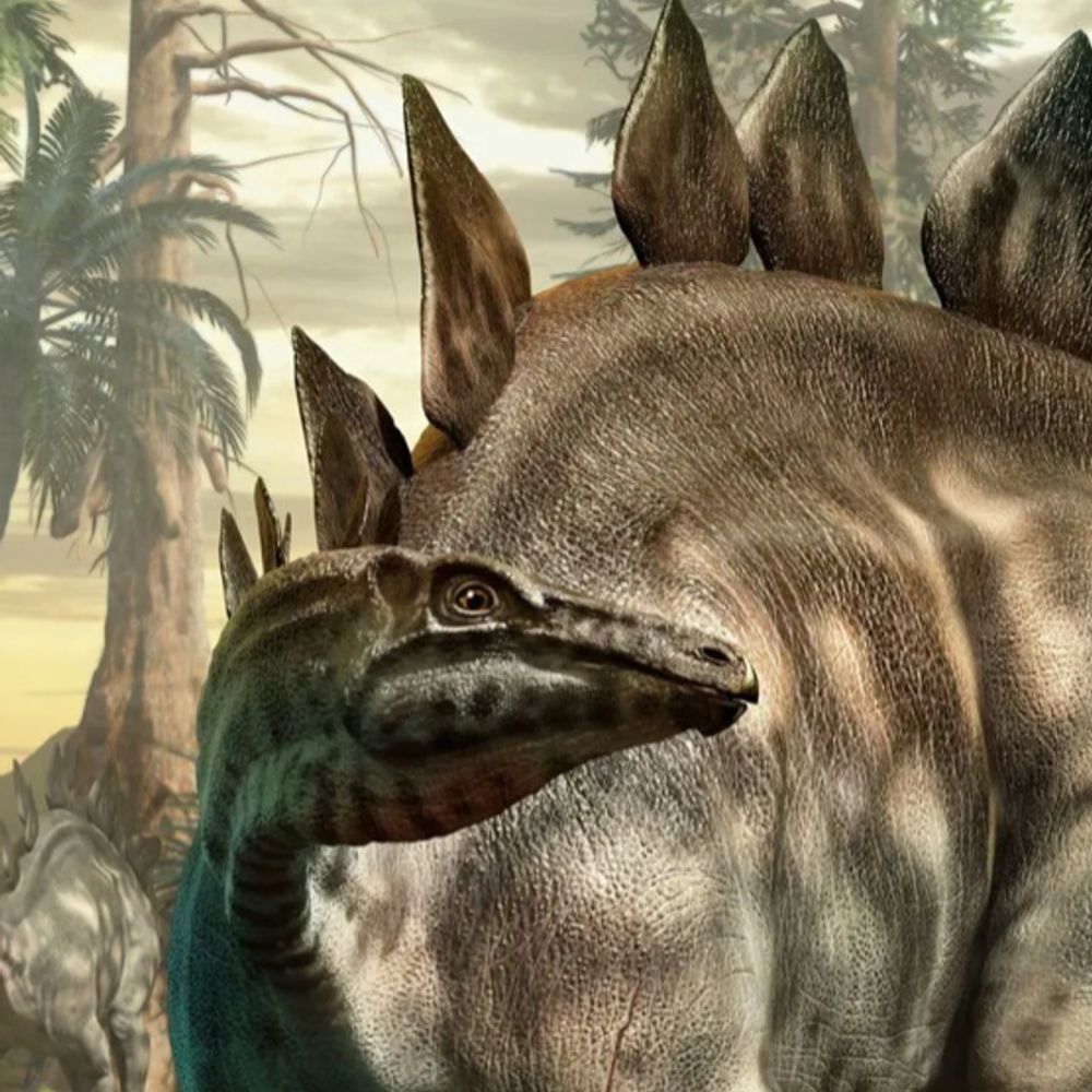 Bart Stegosaurus