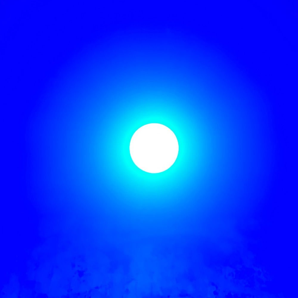 raphito__