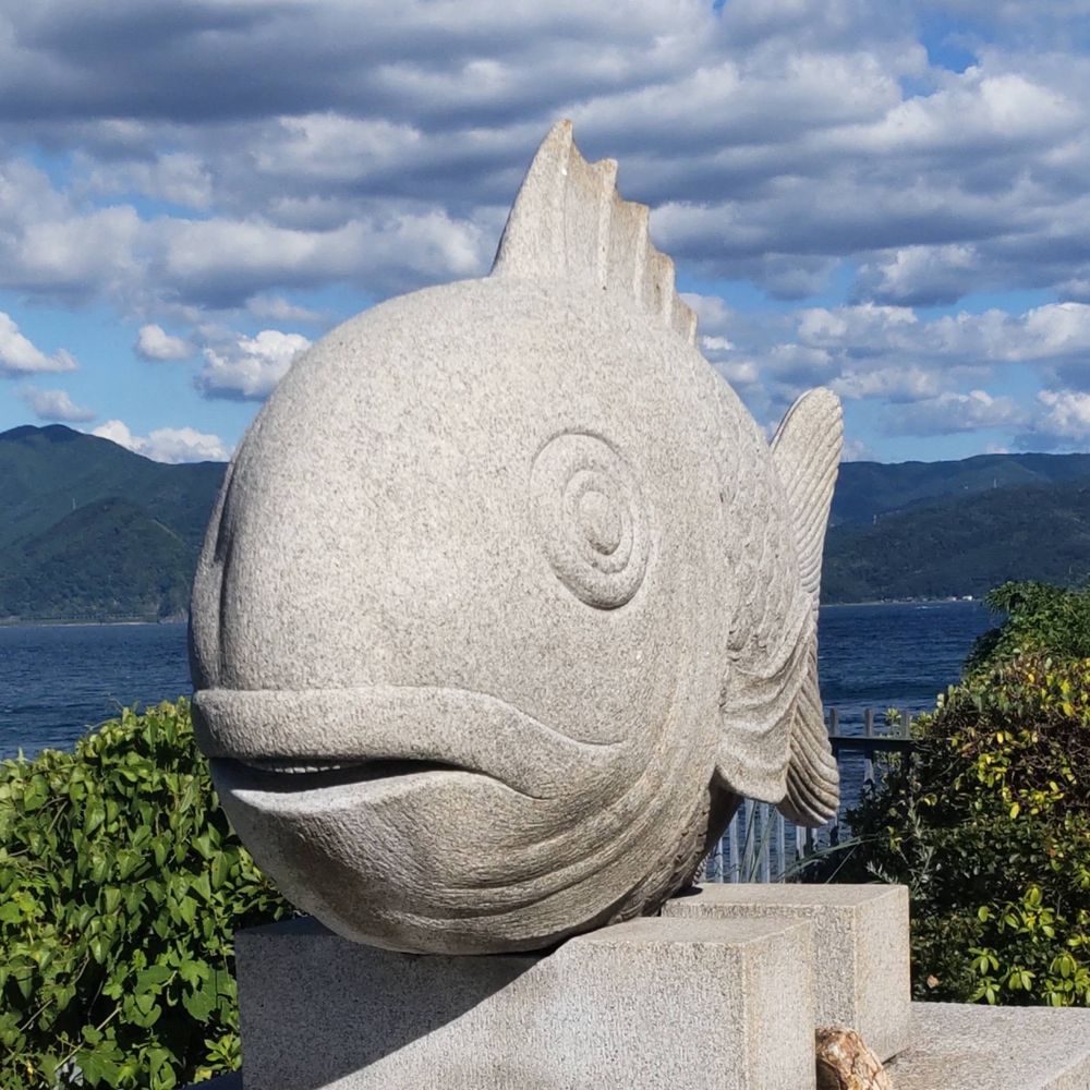 けい🐟