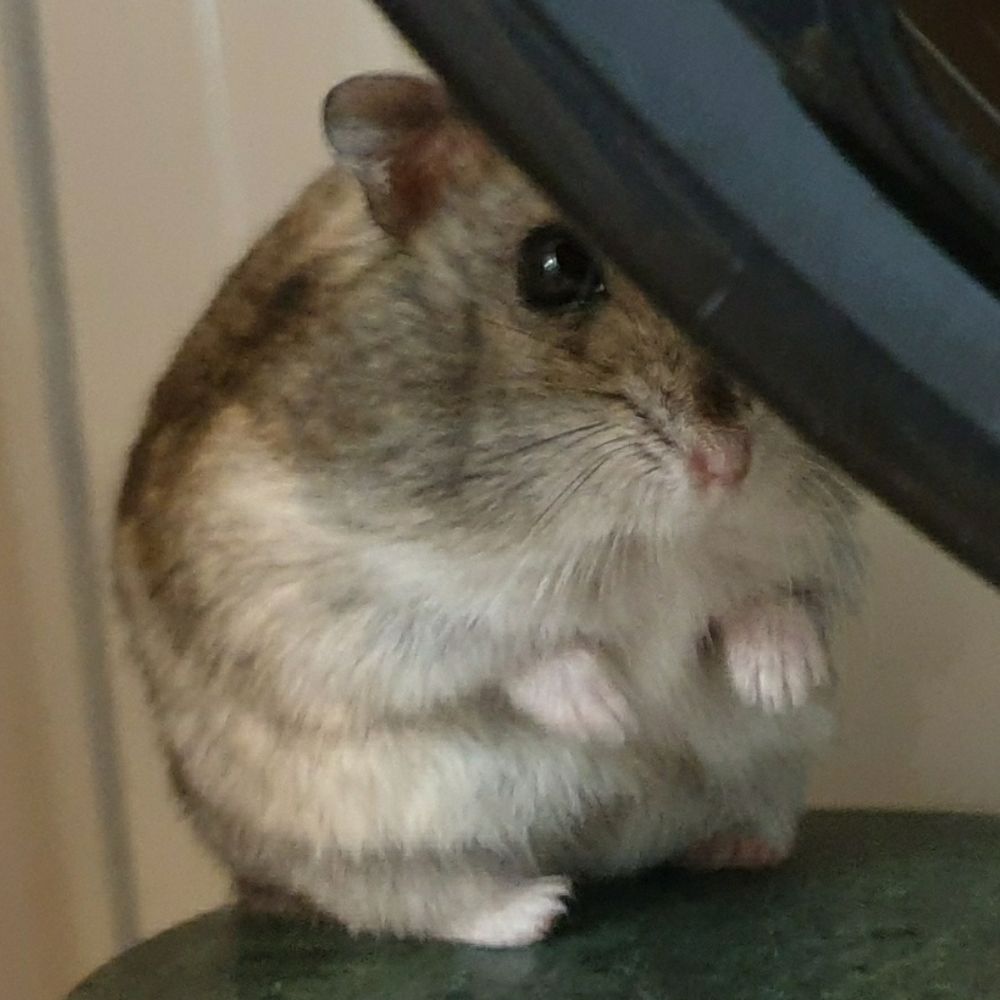 Ed