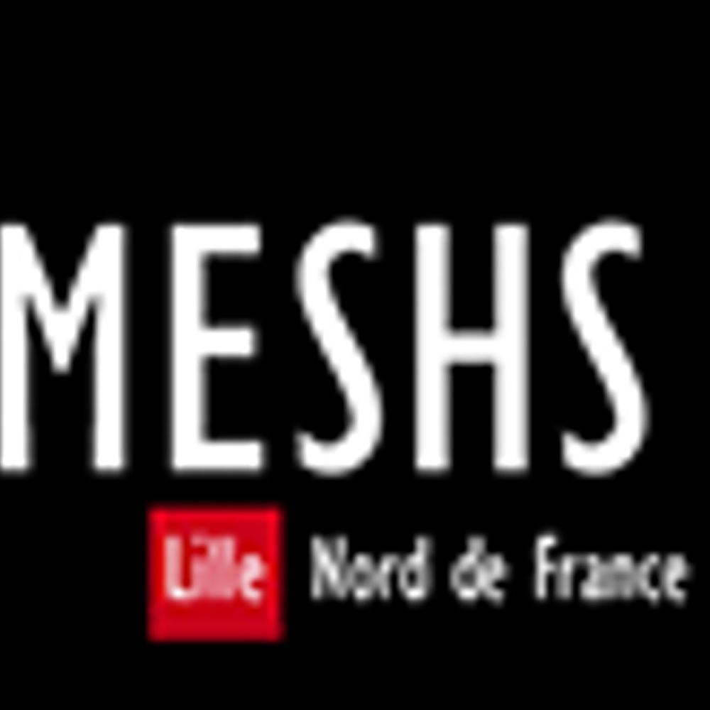 MESHS_UAR3185