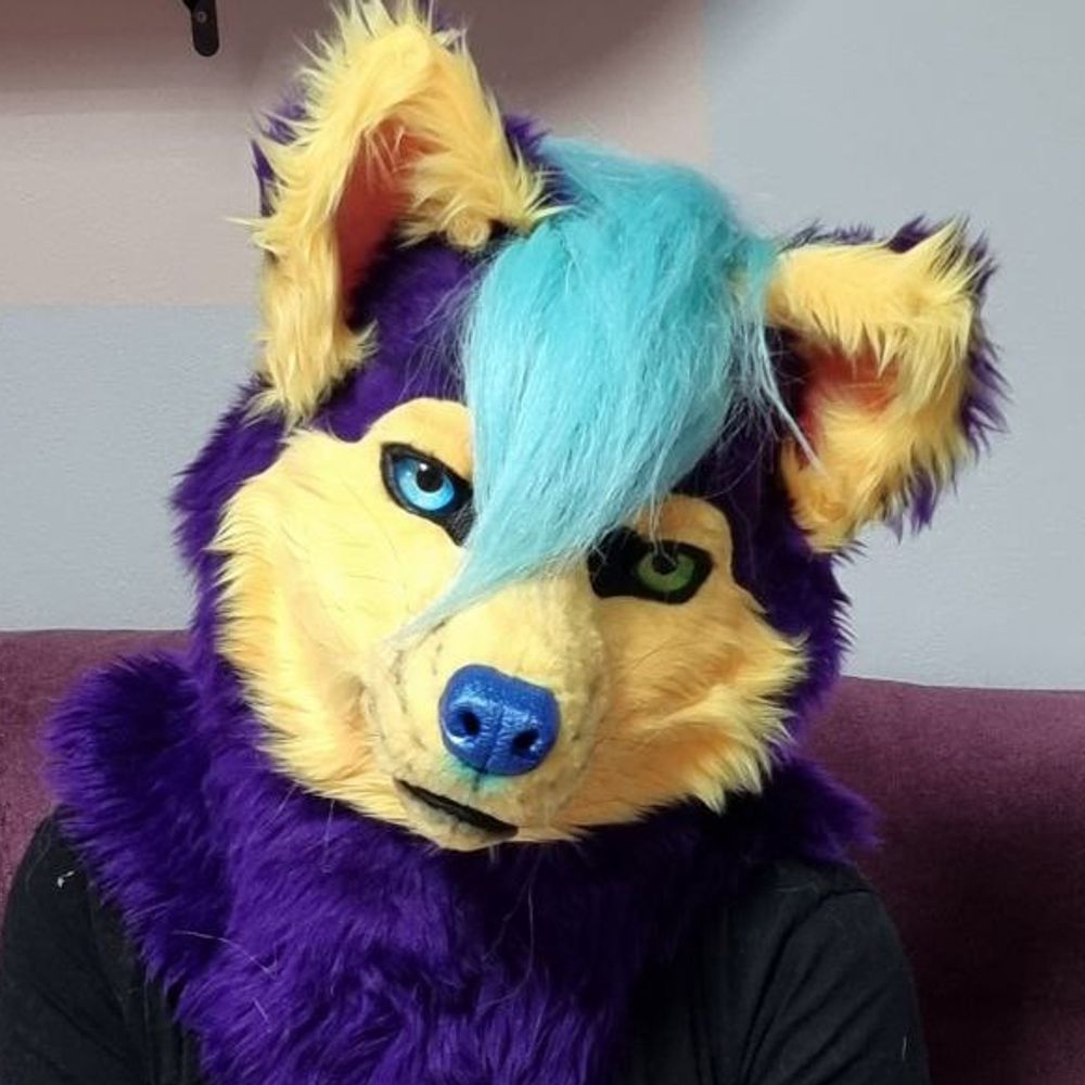 🔞⚧❄️ Pinki-Husky❄️ 🏳️‍🌈🇩🇪  PurpleSlutsky 🦴🥩, MFF2025 💦🍑