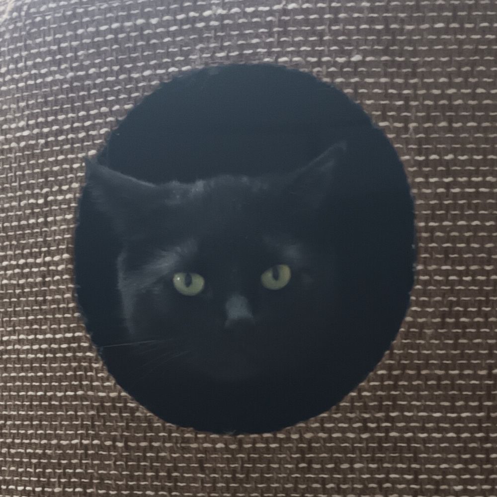 Antifakatze