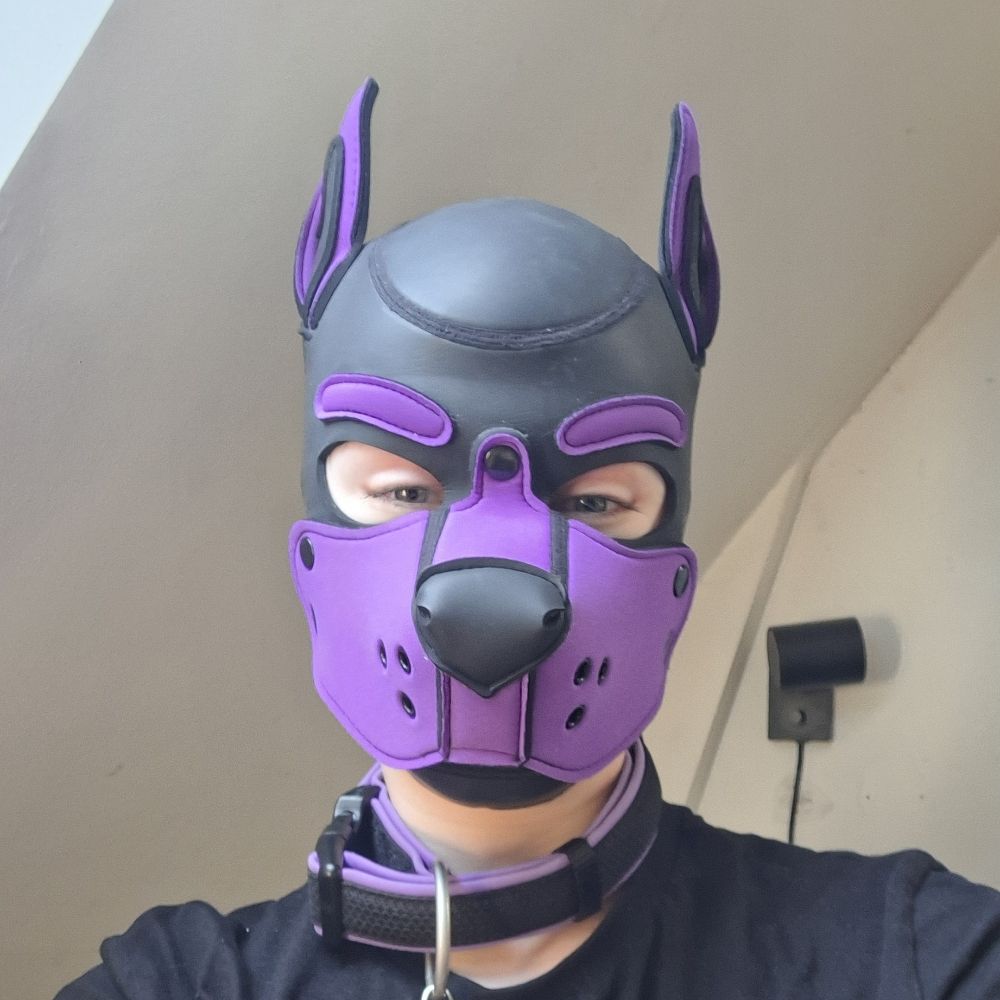 Roxo🏳️‍⚧️💜