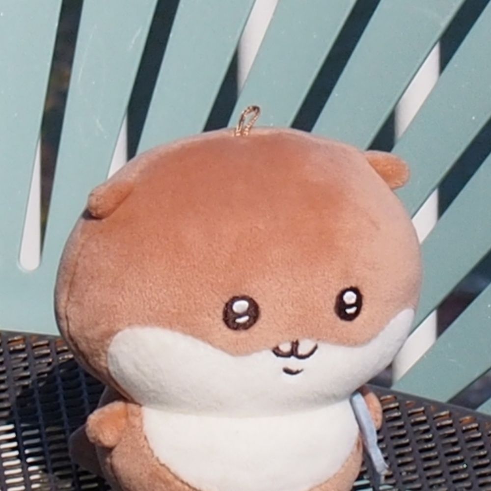 땡땡이
