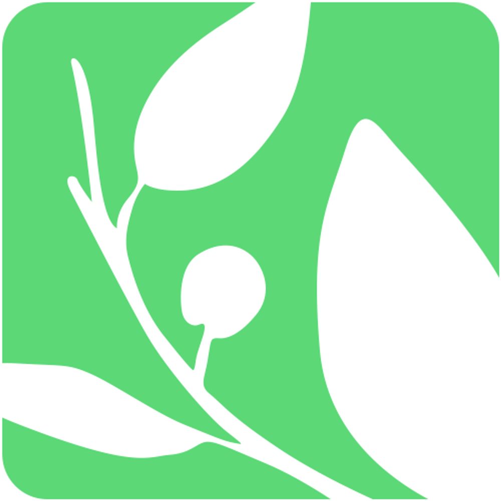 Seeds of Peace