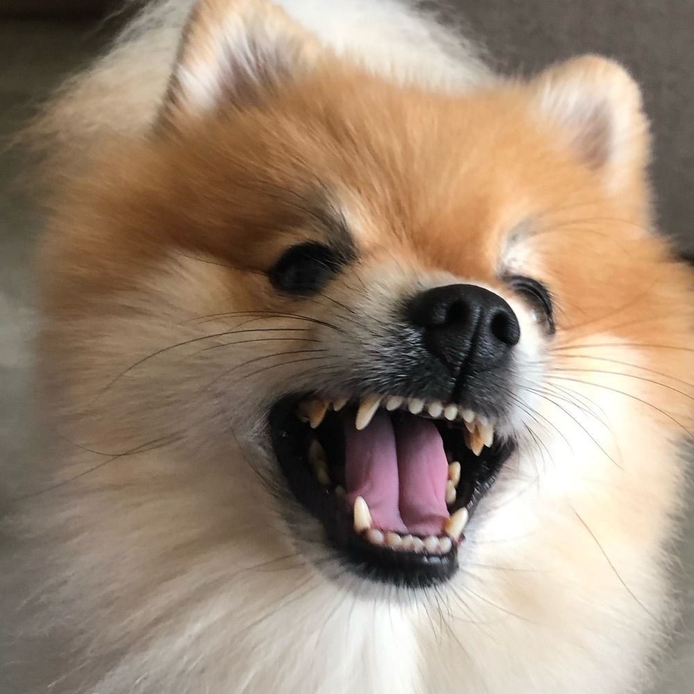 ✨ aaaaaaaahhhh ✨