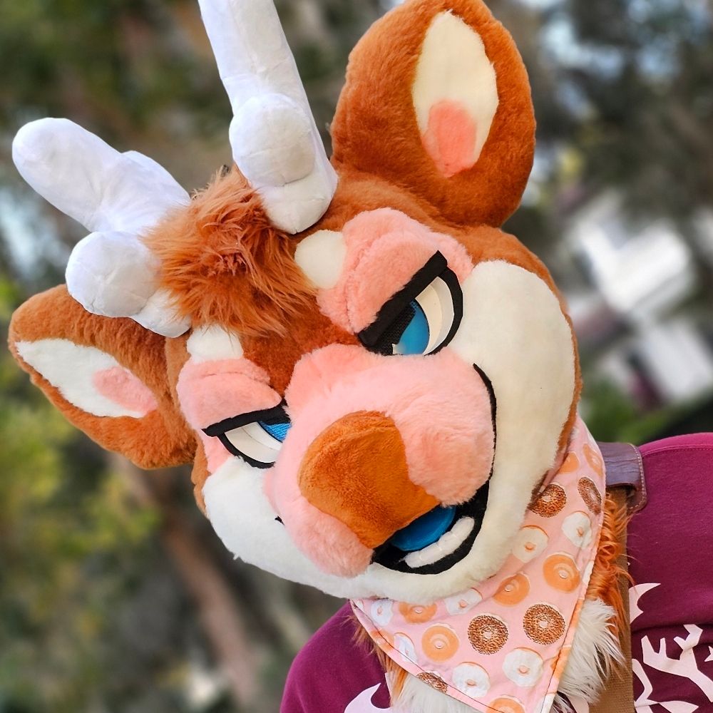 🥯 Bagel 🥯