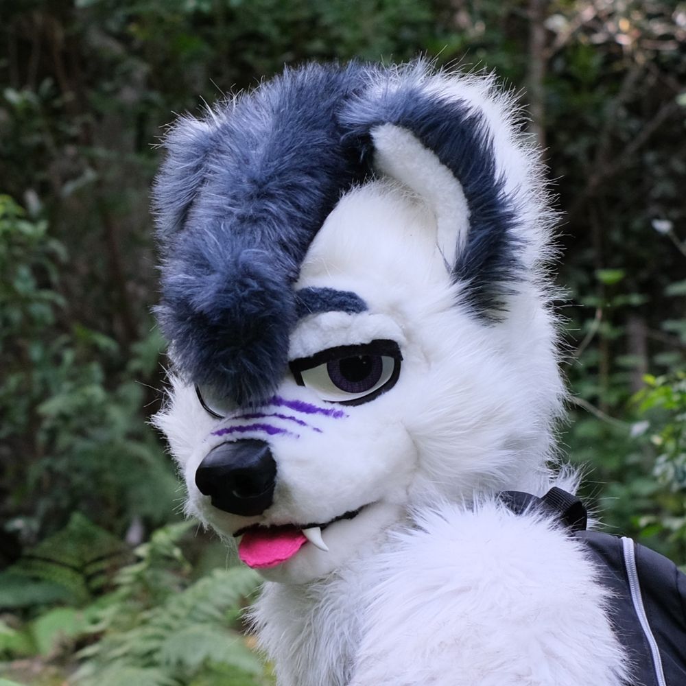 CoderWolf