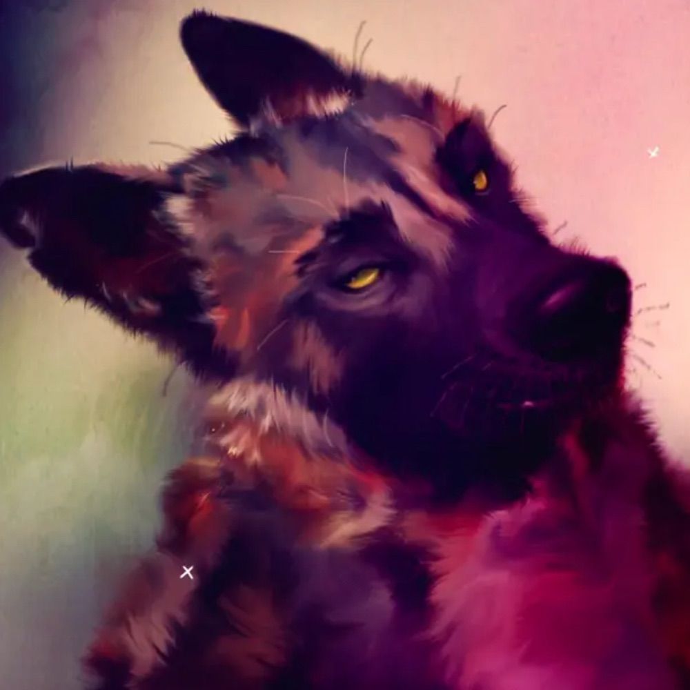 ζ𝘚𝘶𝘮𝘮𝘶𝘵𝘵