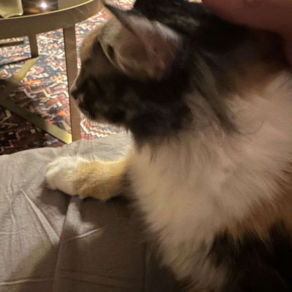 Ebur