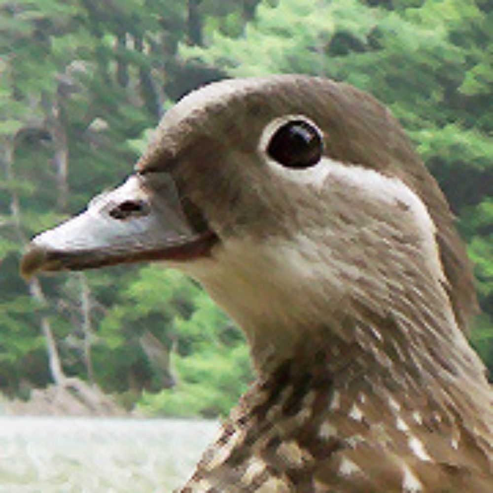 ｲｯｼｰ