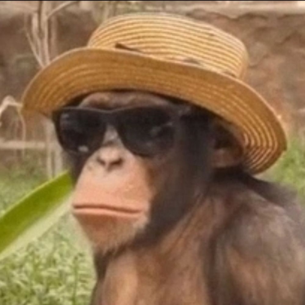 Monkeybacon
