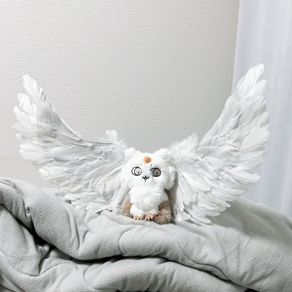 永眠むい
