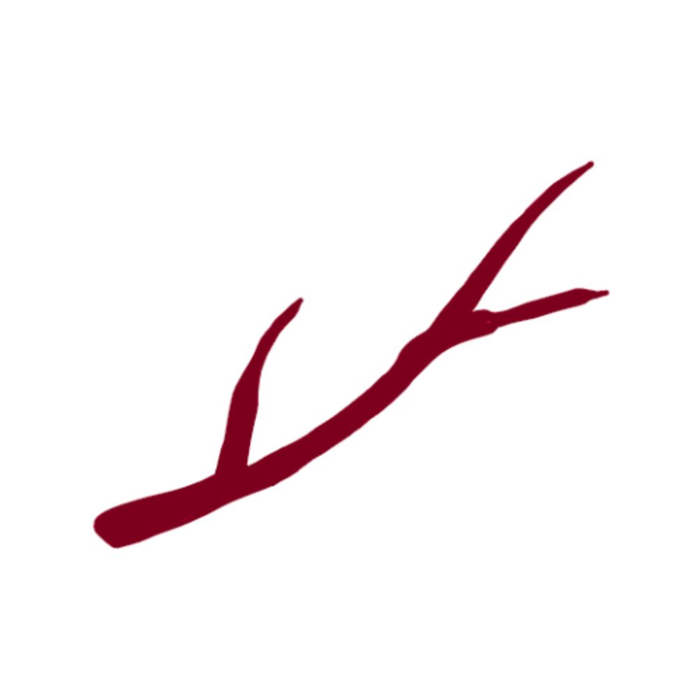 Red Branch Studio