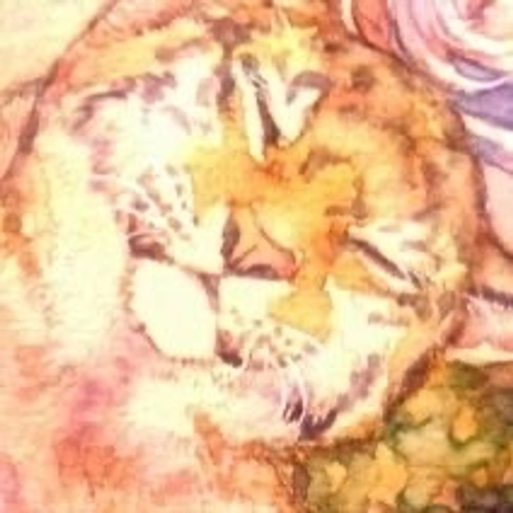 Binn-Neko (Toranekokenn)