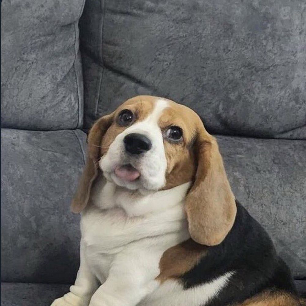 jennface
