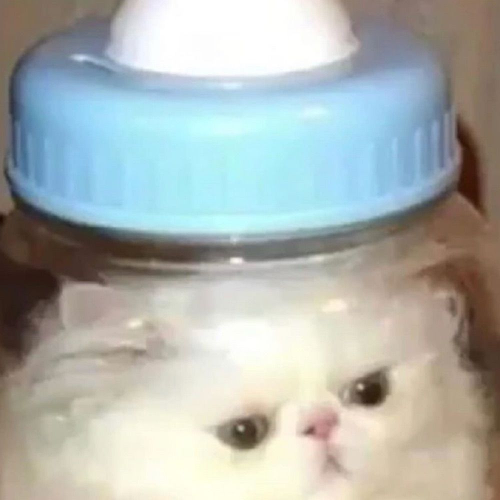 JibJab