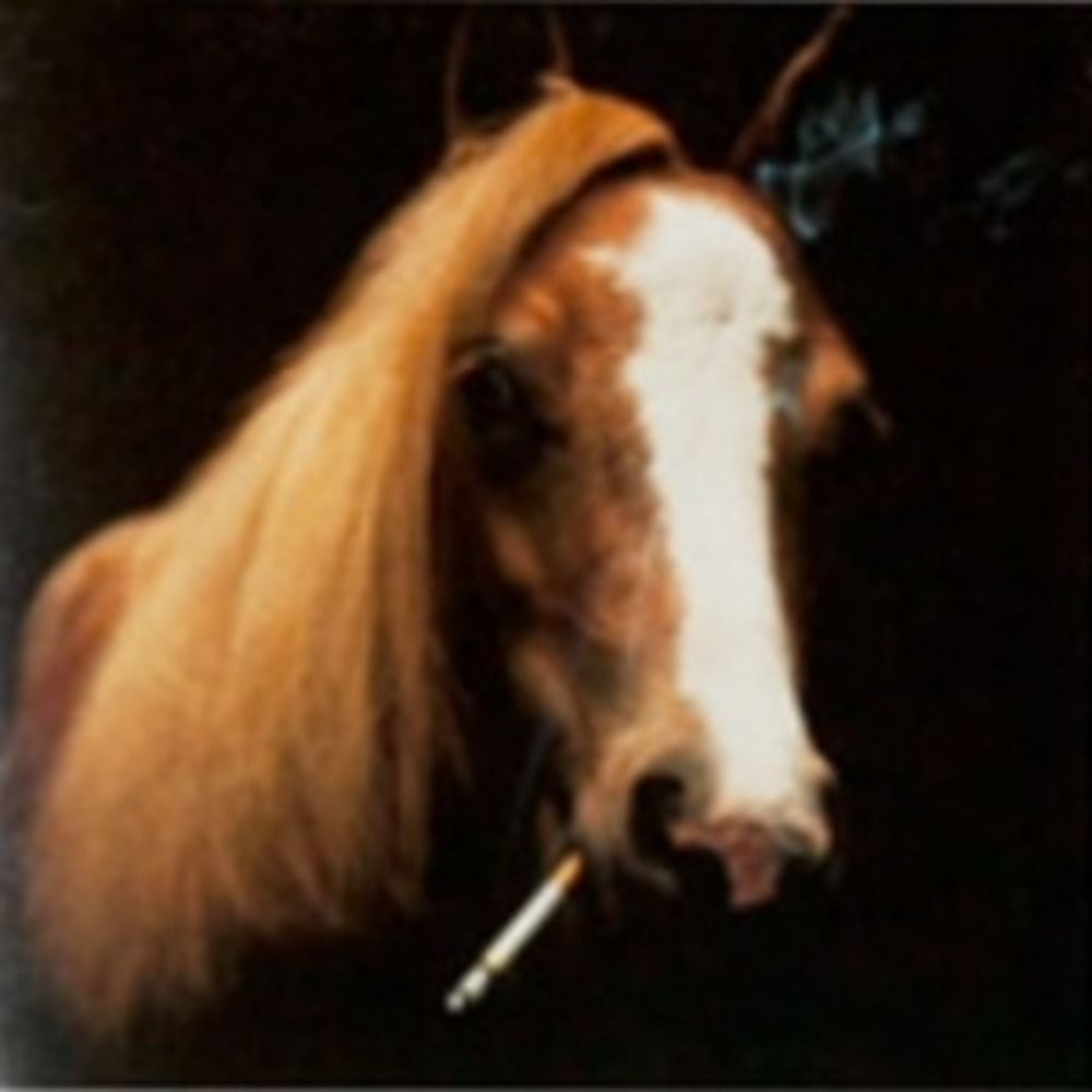 𝖑𝖊𝖝𝖎𝖊 𝖇𝖊𝖝𝖎𝖊