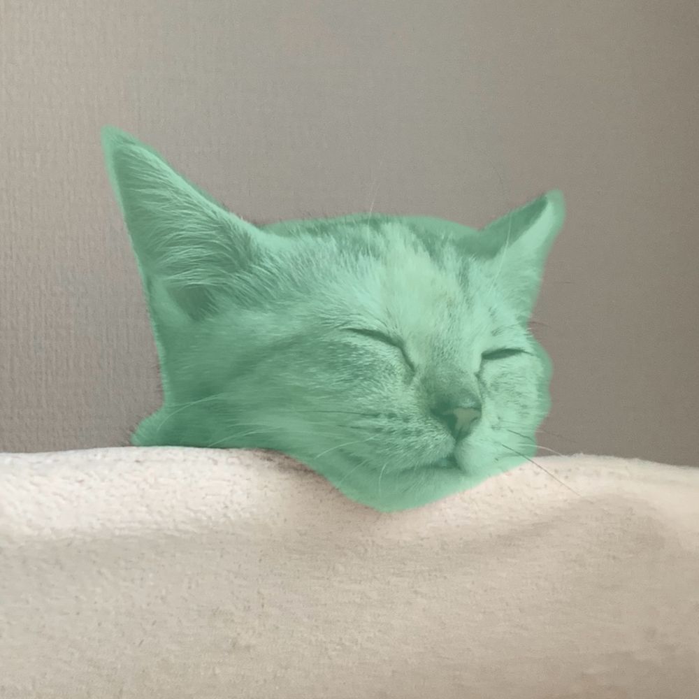 まるねこ　maruneko