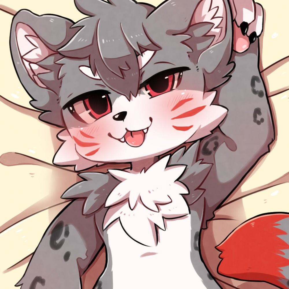 KOTA(丹丹)