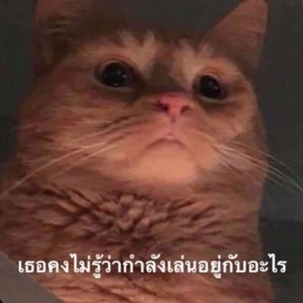 ลป.🐳