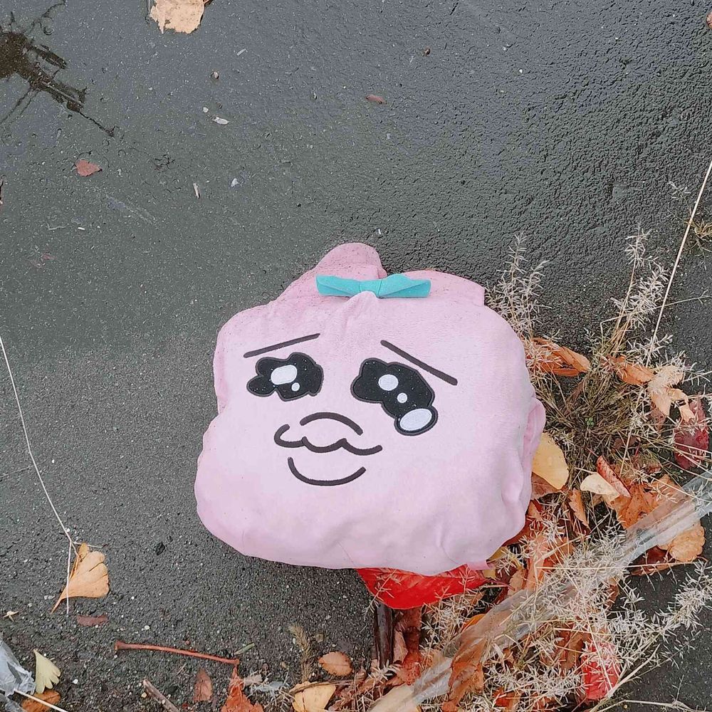 韮と鮭