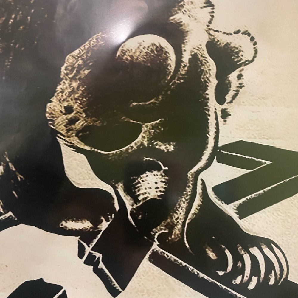 El Oso y El Cogollo