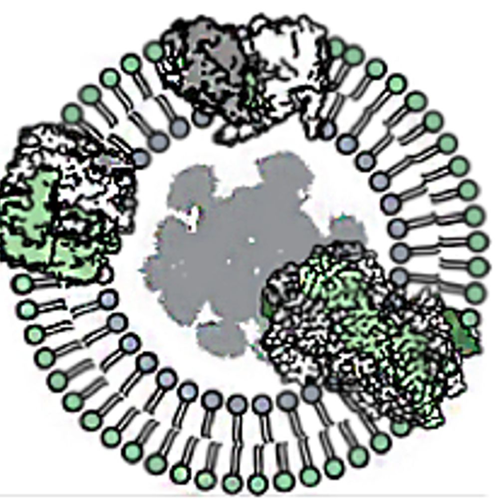 Ziegler lab UR