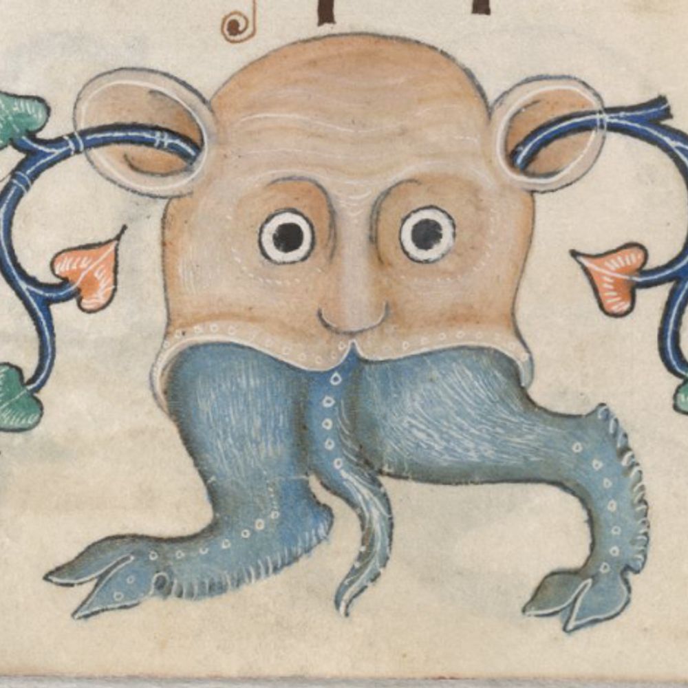 Smiting Hedgehog