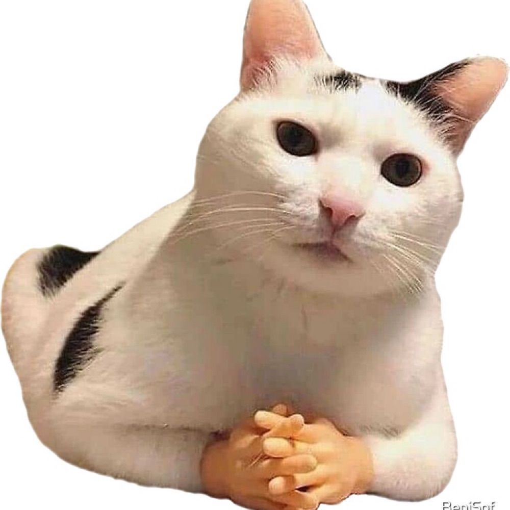 PotatoKat