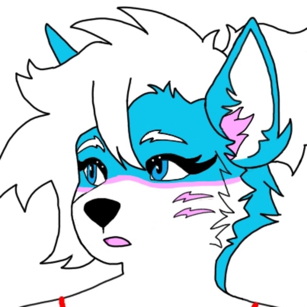 JILL_bluewolf_124T