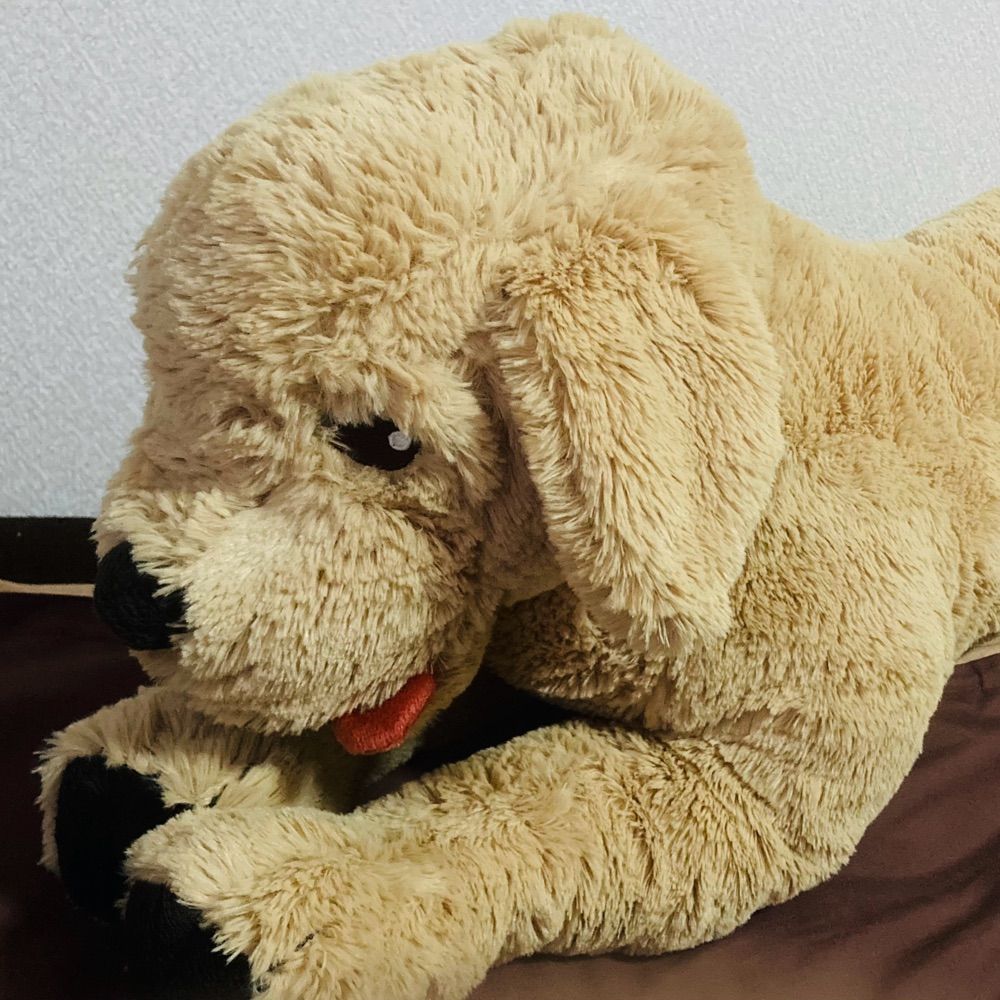 きおかなお