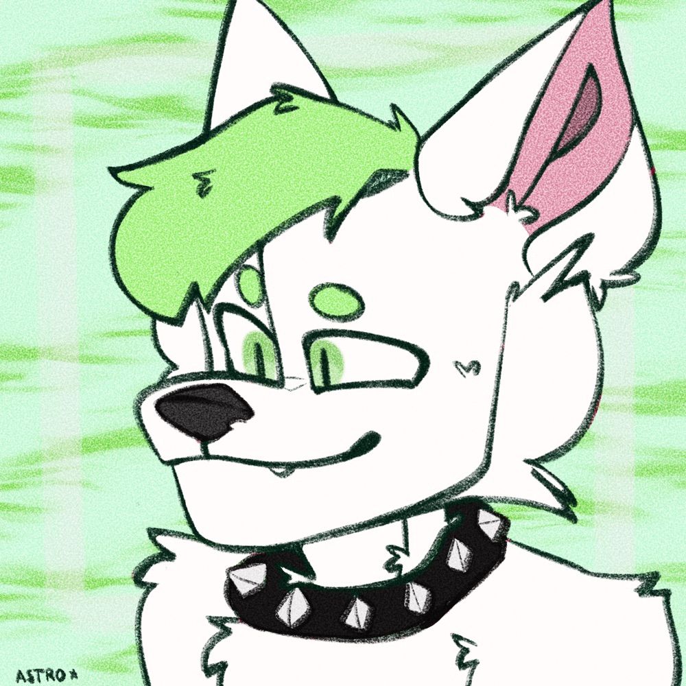 Profile picture astroarcticfox.bsky.social