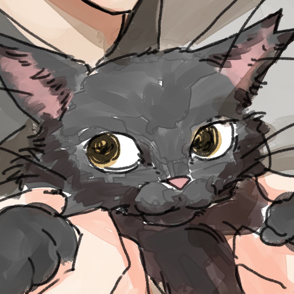 よひら ∴ きょむ