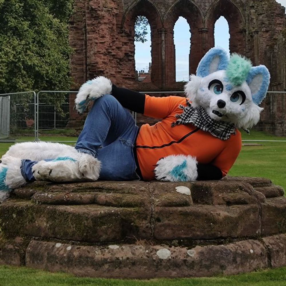 Blue the fox